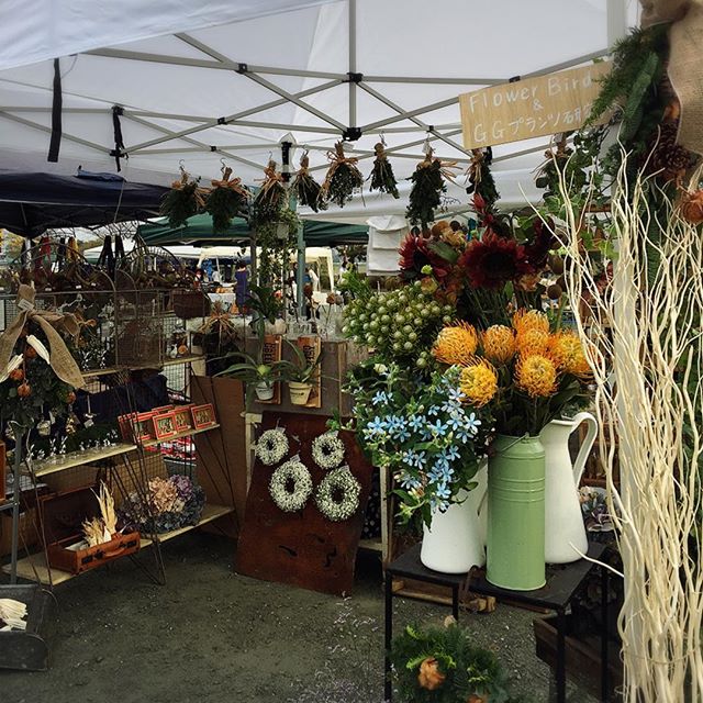 JOYgoodpickスタート直前の画像。その後画像残せず。たくさんのお客様にお立ち寄りいただきまして、ありがとうございました。とても素晴らしいイベントに参加させて頂いた事に感謝です!ワークショップに御参加いただいた皆様お疲れ様でした。#GGプランツ研究所#flowerbird#フラワーバード#JOY#スワッグ #リース
