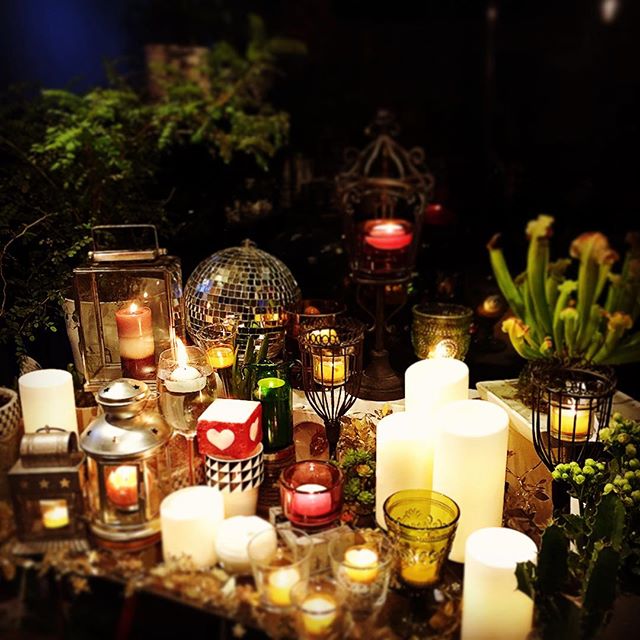 12月24日 candle night17日目キャンドル24個ですございます^_^今宵もマダムご提供のキャンドルを追加です。#GGプランツ研究所 #花屋 #ミラーボール #キャンドル #flowerbird #ソフォラ #日々の暮らし #火の用心 #green green #candle #flower