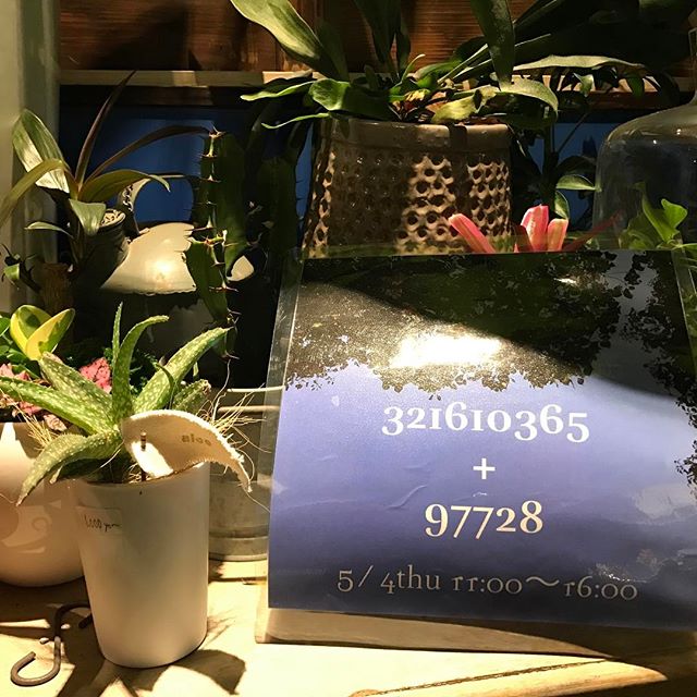 いよいよこの日がやって来ました!DRIED FRUITS ichimaru.にて5月4日11時〜16時321610365+97728開催です楽しい予感しかしません!詳細は@driedfruits.ichimaru#@driedfruits.ichimaru #flowerbird #気七 #321610365+97728 #flower #GGプランツ研究所はお留守番