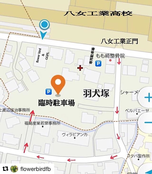 いよいよ最終日臨時駐車場をご準備してお待ちしております!#Repost @flowerbirdfb (@get_repost)・・・今日も、いつものお客様や、皆勤賞のお客様や、2度も来てくださったお客様や、、、遠方からと、、たくさんご来店ありがとうございます。お天気次第では、今回はやめようと決めていた、CRAFT ROOM 7 。明日も開催できそうです。みなさまが楽しみにして、心配されている、キチココさんも、Deli★Boyさんも、来てくださります!明日も雨が降る予定ですが、、みなさまが遊びに来て、無事に帰っていただけるまでが、CRAFT ROOMだと思っています。くれぐれもお気をつけて、お越しくださいませ。臨時駐車場のご案内です。警備員さんにしたがってくださいませ。Flower Bird 筑後市羽犬塚339-10942-53-1383 #クラフトルーム #flowerbird #ggプランツ研究所 #フラワーバード