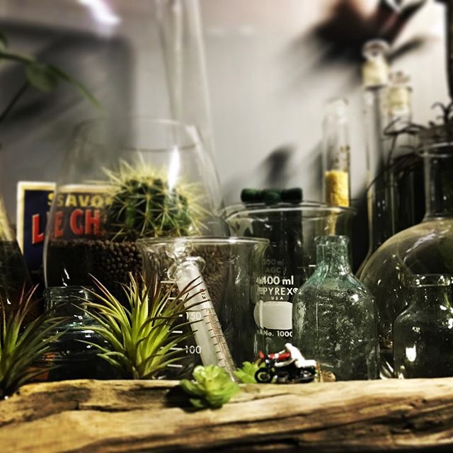 CRAFT ROOM 7皆様のおかげ様をもちまして無事に事故無く終了する事が出来ました。天候などの状況から開催を断念しようかとも思いましたが、うきはからの参加をいただいた、キチココさんDeli☆Boyさんの参加OKの声を聞き開催させていただきました。御来店いただいたお客様、出店していただいた各店舗の皆様、本当にありがとうございました。Live出演のageha with kazueさん、急遽駆け付けていただいたサタデー太鼓フィーバーズの皆さん、ありがとうございました。御来店いただいた皆様の笑顔を原動力に日々、精進してまいります。Flower Bird &GREENGREENプランツ研究所