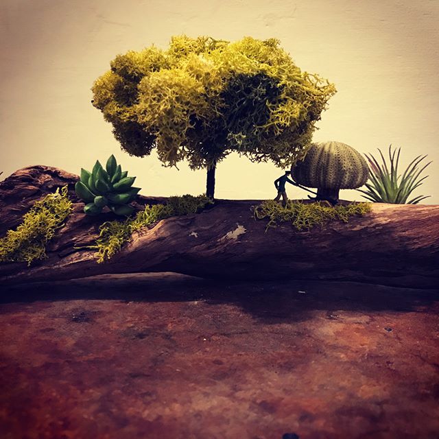 GGプランツ研究所活動報告9月18日祝日福岡 護国神社蚤の市Green MarketへFlowerBird @flowerbirdfb と共に出店です。ドライフラワーや流木アートフレッシュブーケなどなど販売します!皆様にお会い出来るのを楽しみにしております!#ggプランツ研究所 #flowerbird #flower #plants #護国神社蚤の市 #流木 #トキオはお留守番