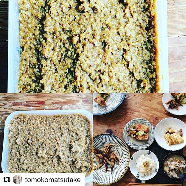 深草さんのお味噌作り教室!募集中でございます。お席に余裕有り〼#Repost @tomokomatsutake (@get_repost)・・・11月30日(木)「深草お味噌作り教室」筑後のflower birdにてお味噌教室です。みなさんでワイワイ一緒に手作りお味噌をつくりましょう!優しい甘く感じられるお味です。お申込みは、flower birdさんによろしくお願いいたします。こちらからダイレクトメールでも。flower bird 0942-53-1383まで#合わせ味噌 #深草 #フラワーバード #flowerbird #ggプランツ研究所 #味噌 #募集中 #筑後 #教室