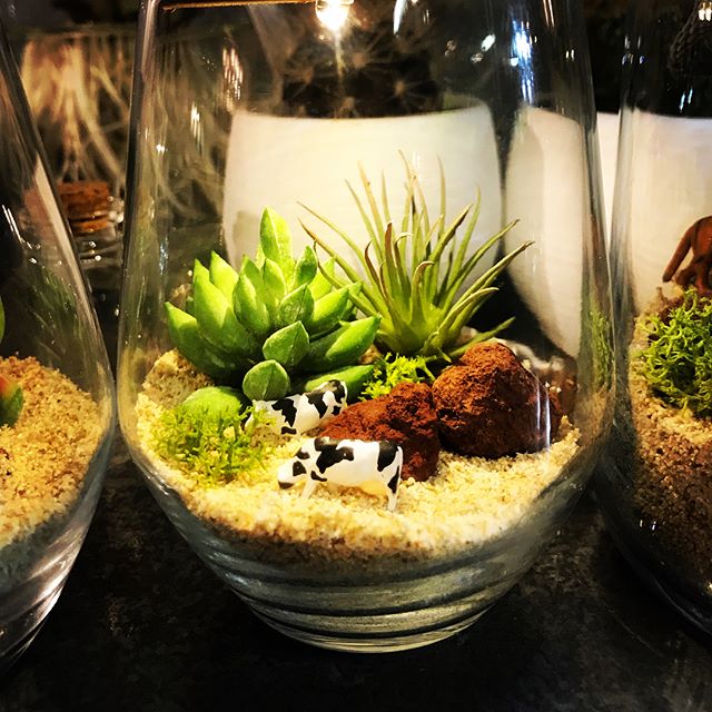 2月に入って寒波到来!寒い中でしたが2月3日 護国神社の蚤の市に出店させていただきましたたくさんのお客様にボトリウムをお手に取っていただきありがとうございました!ボトリウムを吟味していただける喜びを噛み締めて新たなる製作の糧にさせていただきたいと思います!2月5日〜12日まで太宰府の雑貨店COZAさん@zakkacoza_dazaifu のCOZA FAIR 開催です!5日のみですが HANAUTA CAFEさんのケータリングカーも来ていただけます!@hanautacafe2017 皆さまのご来店をお待ちしております。