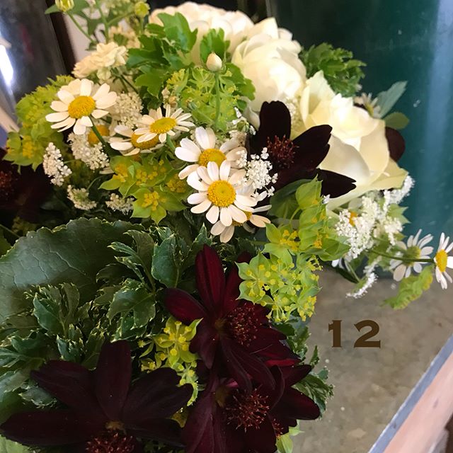 4月12日日めくり。チョコレートコスモスのブーケ。本日は月に1度のニコパン&hanautacafeの日おかげさまで無事に終了いたしました。昨日に引き続き入荷情報。#カンガルーポー#カランコエ(クイーンローズ)#アジサイ(君の名は)#アジサイ(ごきげんよう)#ggプランツ研究所 #flower #plants #flowerbird #筑後 #花屋入荷じわじわ続きます。御来店お待ちしております。