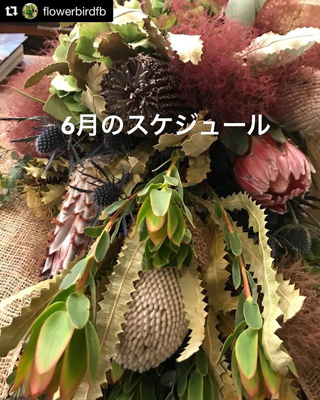 6月の予定いろいろです!#Repost @flowerbirdfb with @get_repost・・・6月のスケジュール・お休みは、毎週火曜日です。・6日(水) Roco nail 14:00〜空きあり・10日(日) nice morning・14日(木) ニコパンとハナウタカフェの日・16日(土) Roco Carvingの日・10〜17日 陶兎屋展 器の委託販売・17日(日) ふりゅうさんのお茶を嗜む会・24日(日) ちくごシアワセ女旅 ws満員御礼です。ありがとうございます。・6月は、nice morningやふりゅうさんのお茶を嗜む会など、初めての開催で、ドキドキです。2階で開催されるのですが、テーブルを季節のお花で演出したいと思います。・お食事とお花。・お茶とお花。・どちらも、楽しまれてくださいませ。・ご予約、お問い合わせ、お待ちしております。・陶兎屋さんの器は、期間中、一階の小部屋で委託販売しております。・6月も、どうぞ、よろしくお願い致します。#flowerbird #フラワーバード #ggプランツ研究所