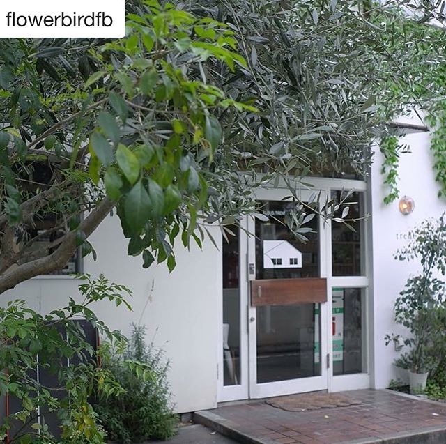 福岡市警固のカフェtreneさん写真屋さんのお隣です。リンゴ豚のグリル絶品です。何をオーダーしても絶品です!#Repost @flowerbirdfb with @get_repost・・・nice morningin Flower Bird・6.10 sun9:00 open15:00 close・trene@_trene_kego ・2つ目のお店のご紹介は、treneさん。福岡の警固にある白い家がお店です。ALBUSさんも共存しており、写真屋さんと、cafeが、とてもしっくりと、自然に、居心地よく、、そこにあるのです。・treneさんが作るお料理を、ぜひ、Flower Birdで食べていただきたいです。そして、treneさんのお店に行かれてくださいませ。・@gogreengo とは、これまた、20年以上のお友達。めぐちゃんは、なんにも変わらない♡と、いつも、言っています。所長いわく、treneさんのお料理は、食べたらわかると、申しております。・10日が待ち遠しいです。・nice morningのご予約状況は、5月24日の投稿でご確認ください。#nicemorning#trene#ggプランツ研究所 #flowerbird