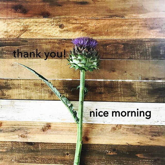 nice morningin Flower Bird足を運んでくださったお客様ありがとうございました。・今回、初めての試みでnice morningの皆さんとお食事×お花初めてのお食事をするイベントでしたので、お食事とお花と両方を楽しんでもらえたら嬉しいなぁと思いながら、お花を飾りました。思い出に残る一日のお手伝いが出来ていたら幸いです。また、いつの日かnice morning 開催出来たら良いなと思っています!@fukakusa.fukuoka @_trene_kego @kotokoto_kitchen @petanicoffee スペシャルゲスト@kona57ya ありがとうございました。#nice #morning #flowerbird #ggプランツ研究所