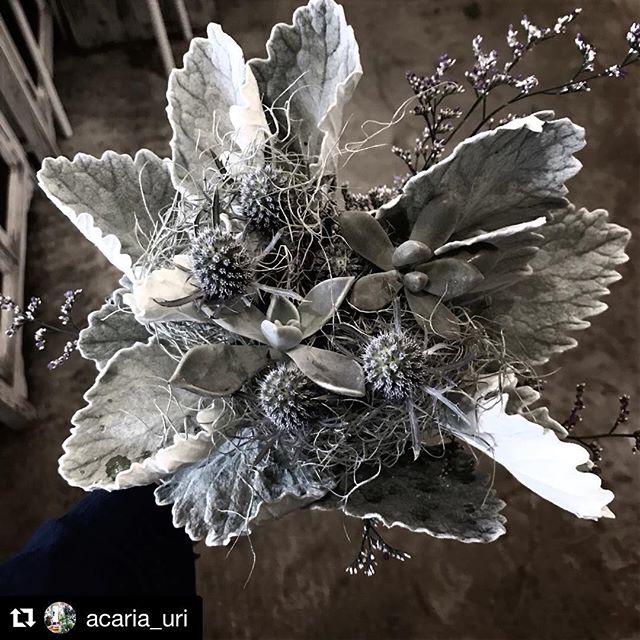 acariaさん青とグレーで溢れる店内flower birdのブーケ、アレンジも並んでいます。#Repost @acaria_uri with @get_repost・・・∙∙「青とグレー」まだまだスペシャルは続きます。初日の14日は、Flower Birdさんにブーケとアレンジをお届け頂きます。∙ブルーとグレーの花束。FlowerBirdさんの花束。今から楽しみでなりません。∙アレンジは、ACARIAのリメ缶にお願いしています。これは、ずっとわたしがお願いしたかったことでもあり、こちらも楽しみでなりません。∙ご自宅用にもギフトにも。テンション上がること間違いありません。∙∙#青とグレー#acaria#flowerbird#雑貨店#福岡#久留米#植物のある暮らし#お花のある暮らし #ブーケ
