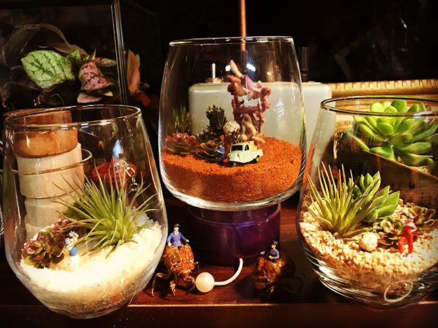 7/21(sat)10:00〜16:00@driedfruits.ichimaru さん2階にて開催させて頂きますGGプランツ研究所 研究発表会 @driedfruits.ichimaru さんの全面的な御協力のもとオタク感満載の研究発表会を開催させて頂ける事に感謝するばかりです。今回、全ての商品を御購入していただけます。クスッと笑える物から賛否が分かれる物までアレコレ持って参ります。皆様のご来店を心よりお待ちしております。#ggプランツ研究所 #ボトリウム #フィギュア #久留米 #ichimaru